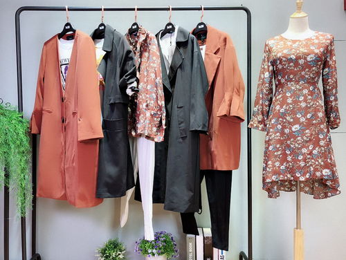 溆牌2018新款秋裝 休閑時尚女裝精品貨源